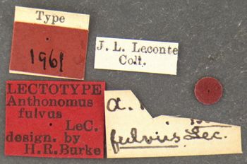 Media type: image;   Entomology 1961 Aspect: labels